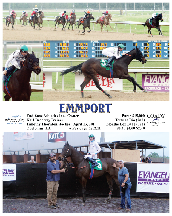 EMMPORT - 04-13-19 - R02 - EVD