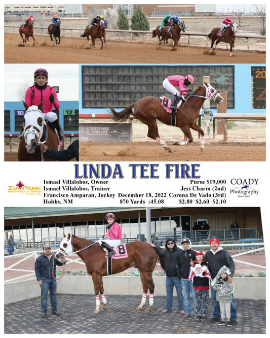LINDA TEE FIRE - 12-18-22 - R02 - ZIA