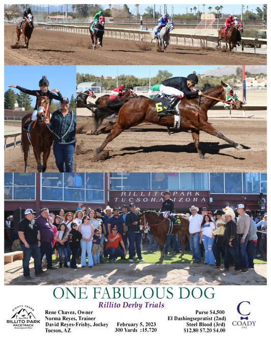 ONE FABULOUS DOG - Rillito Derby Trials - 02-05-23 - R02 - RIL