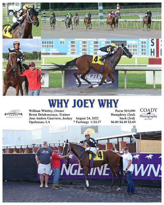 WHY JOEY WHY - 08-24-22 - R02 - EVD