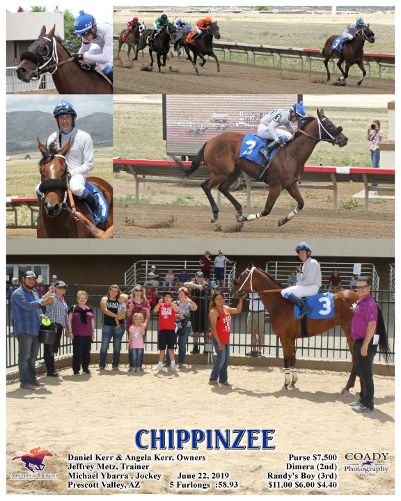 CHIPPINZEE - 06-22-19 - R03 - AZD