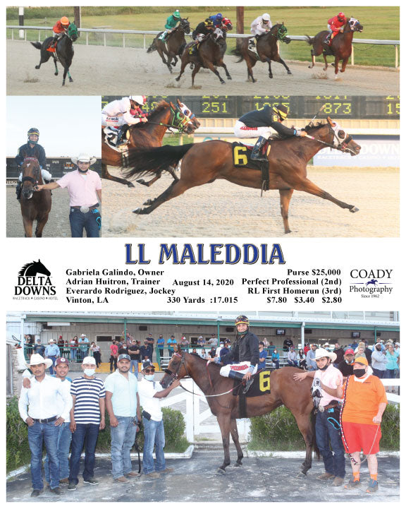 LL MALEDDIA - 081420 - Race 03 - DED