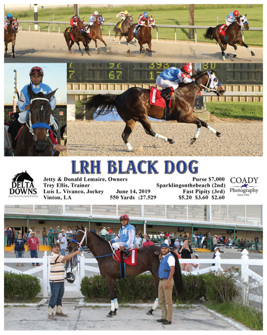 LRH BLACK DOG - 061419 - Race 03 - DED