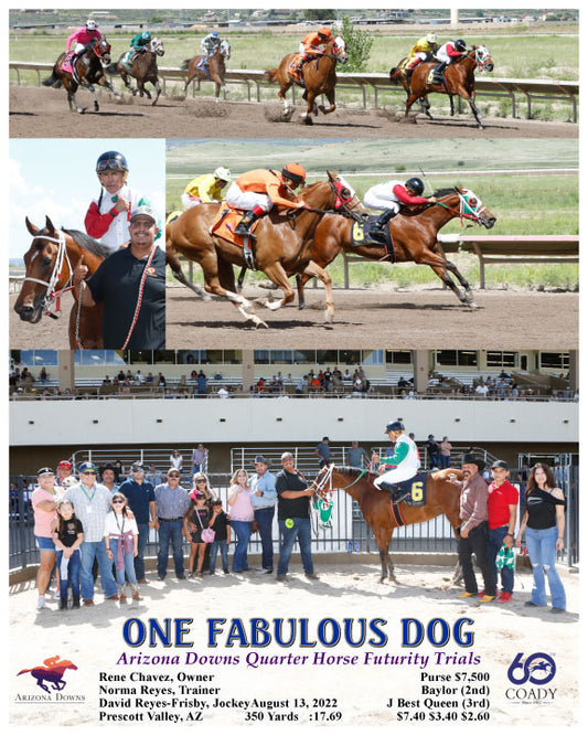 ONE FABULOUS DOG - Arizona Downs Quarter Horse Futurity Trials - 08-13-22 - R03 - AZD