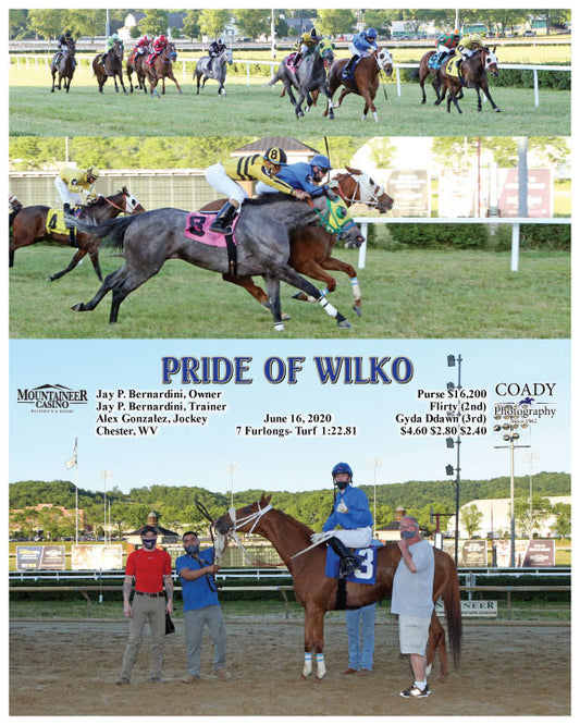 PRIDE OF WILKO - 06-16-20 - R03 - MNR