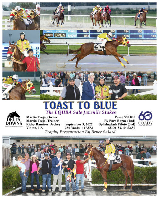 TOAST TO BLUE - The LQHBA Sale Juvenile Stakes - 09-03-22 - R03 - DED
