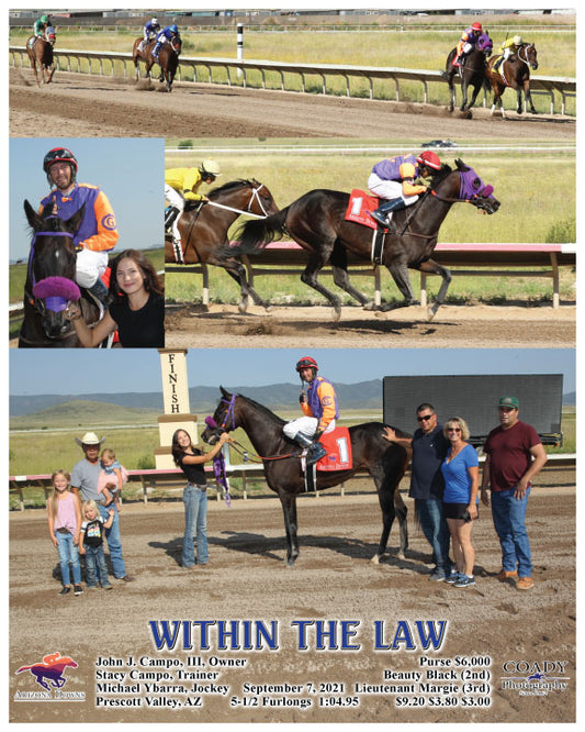 WITHIN THE LAW - 09-07-21 - R03 - AZD