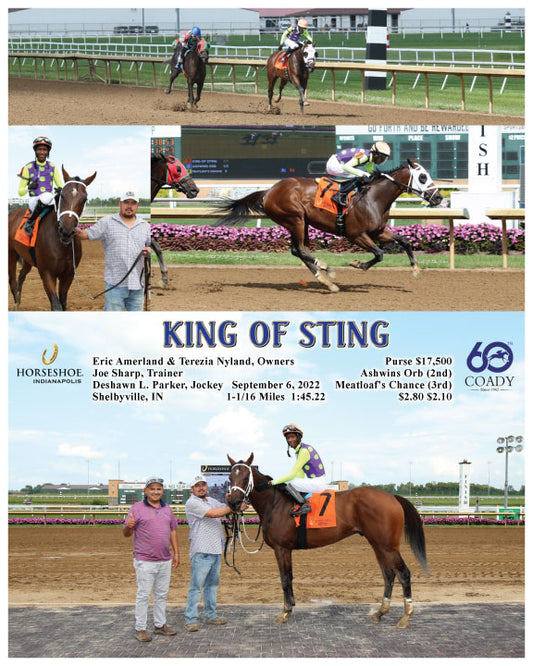 KING OF STING - 09-06-22 - R04 - IND