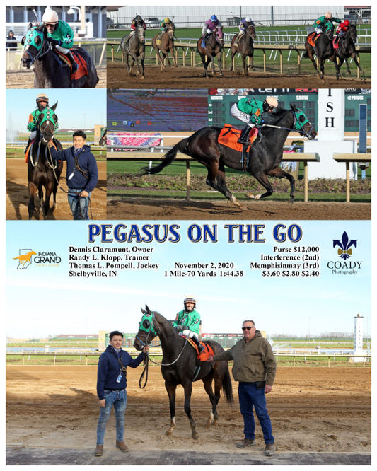 PEGASUS ON THE GO - 11-02-20 - R04 - IND