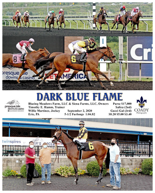 DARK BLUE FLAME - 09-02-20 - R05 - PID