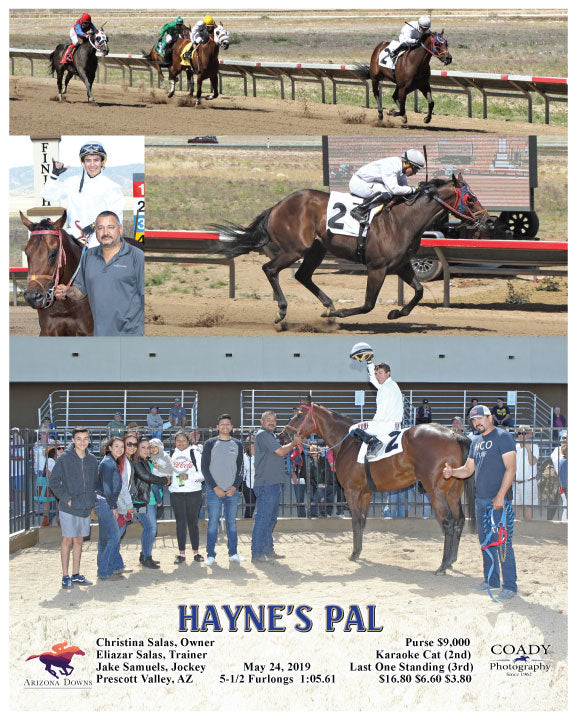HAYNE'S PAL  - 05-24-19 - R05 - AZD