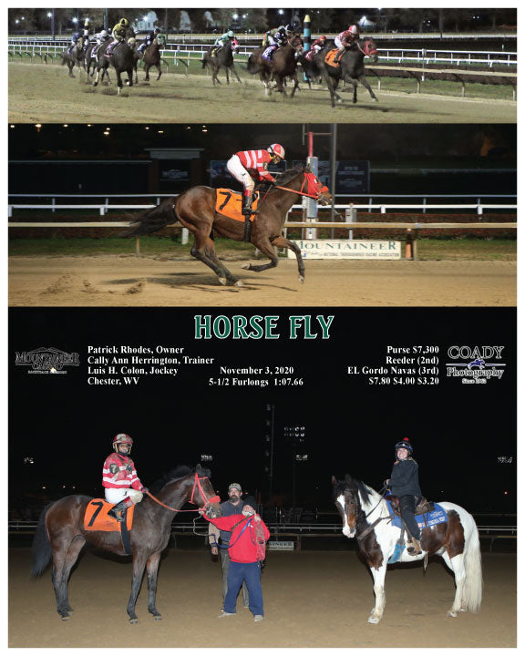 HORSE FLY - 11-03-20 - R05 - MNR