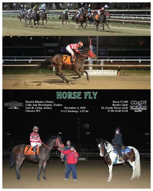 HORSE FLY - 11-03-20 - R05 - MNR