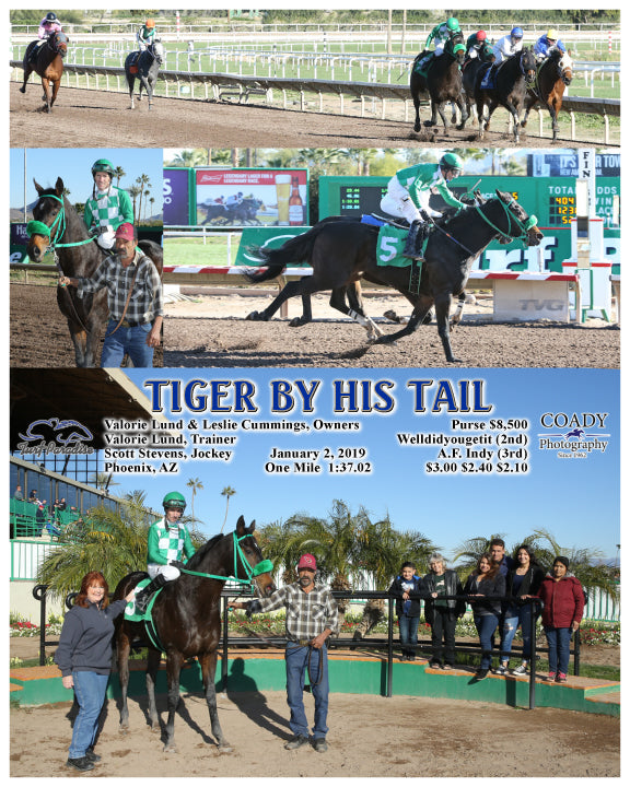 TIGER BY HIS TAIL - 01-02-19 - R05 - TUP