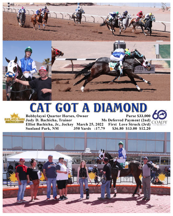 CAT GOT A DIAMOND - 03-25-22 - R06 - SUN