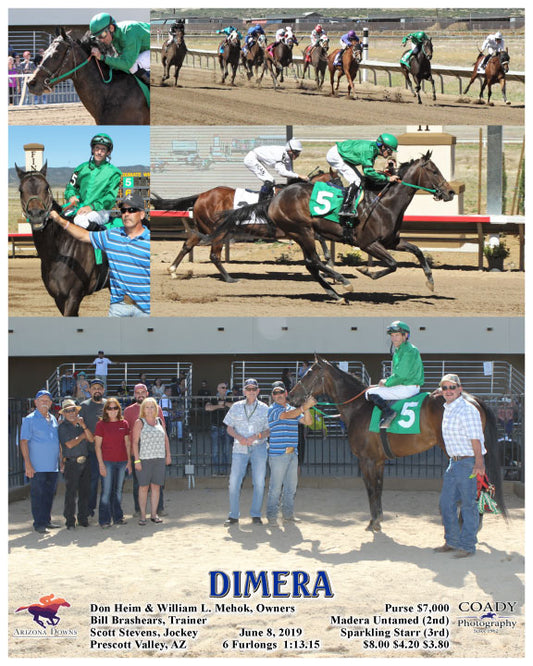 DIMERA - 06-08-19 - R06 - AZD
