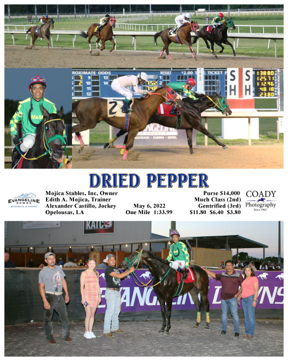 DRIED PEPPER - 05-06-22 - R06 - EVD