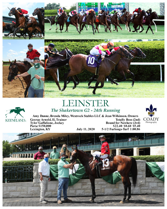 LEINSTER - The Shakertown G2 - 24th Running - 07-11-20 - R06 - KEE