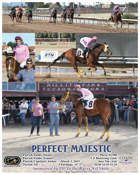 PERFECT MAJESTIC - 03-03-19 - R06 - RIL