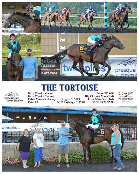THE TORTOISE - 08-05-19 - R06 - PID