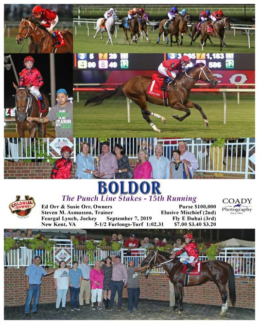 BOLDOR - The Punch Line Stakes - 15th Running - 09-07-19 - R07 - CNL