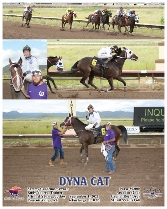 DYNA CAT - 09-01-21 - R07 - AZD
