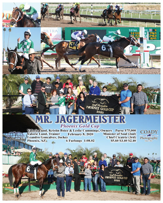 MR. JAGERMEISTER - Phoenix Gold Cup - 02-08-20 - R07 - TUP