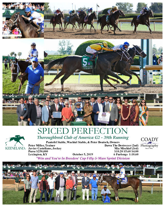 SPICED PERFECTION - Thoroughbred Club of America G2 - 39th Running - 10-05-19 - R07 - KEE