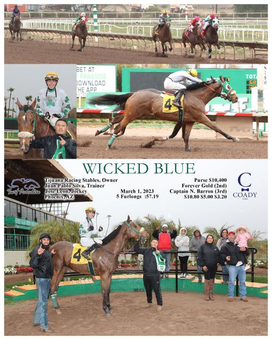 WICKED BLUE - 03-01-23 - R07 - TUP