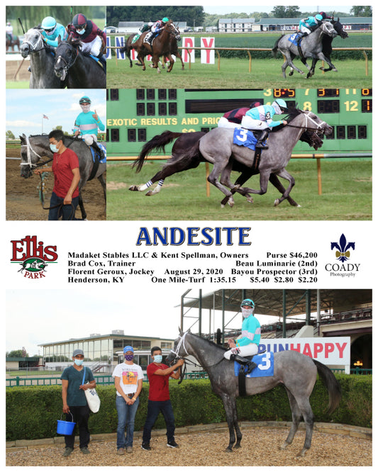 ANDESITE - 08-29-20 - R08 - ELP
