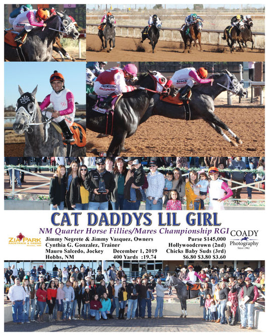 CAT DADDYS LIL GIRL - NM Quater Horse Fillies/Mares Championship RGI - 12-01-19 - R08 - ZIA