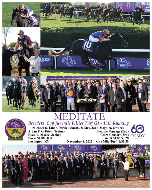 MEDITATE - Breeders' Cup Juvenile Fillies Turf G1 - 15th Running - 11-04-22 - R08 - KEE