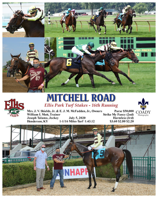 MITCHELL ROAD - Ellis Park Turf Stakes - 16th Running - 07-05-20 - R08 - ELP