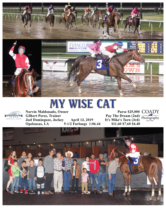 MY WISE CAT - 04-13-19 - R08 - EVD