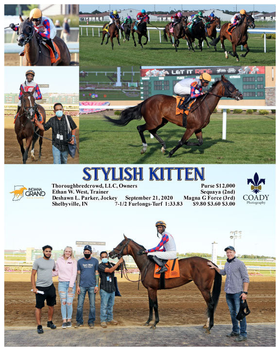 STYLISH KITTEN - 09-21-20 - R08 - IND
