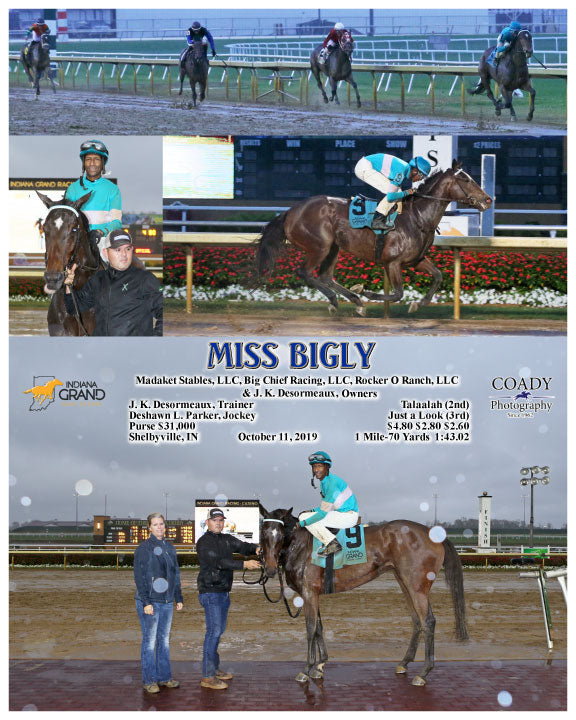 MISS BIGLY - 101119 - Race 09 - IND
