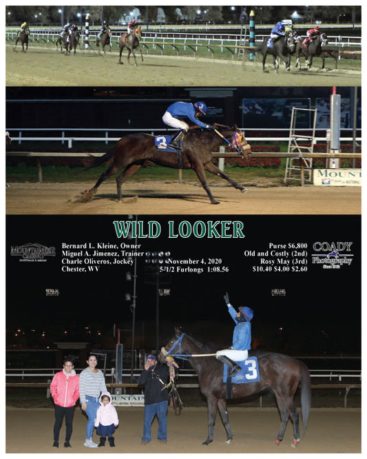 WILD LOOKER - 11-04-20 - R09 - MNR