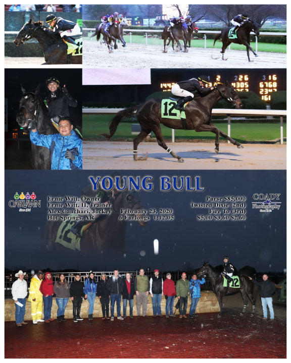 YOUNG BULL - 02-23-20 - R09 - OP