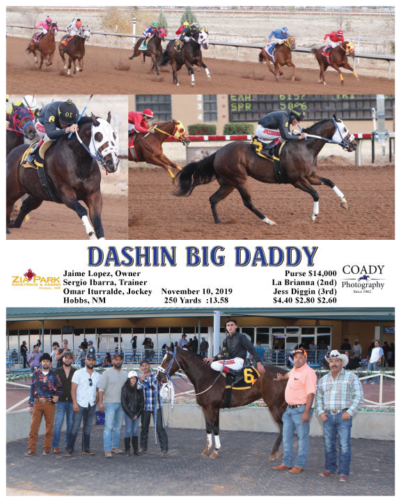 DASHIN BIG DADDY - 11-10-19 - R10 - ZIA