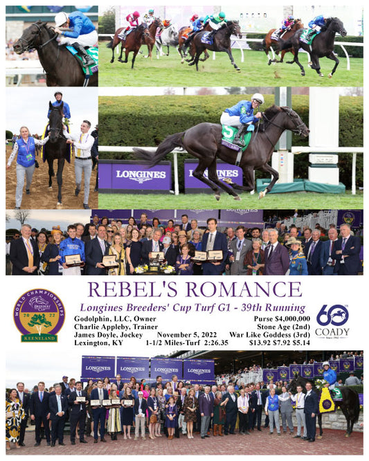 REBEL'S ROMANCE - Longines Breeders' Cup Turf G1 - 39th Running - 11-05-22 - R10 - KEE