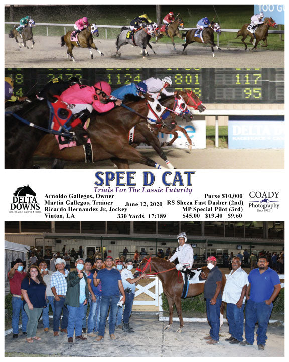 SPEE D CAT - 061220 - Race 15 - DED
