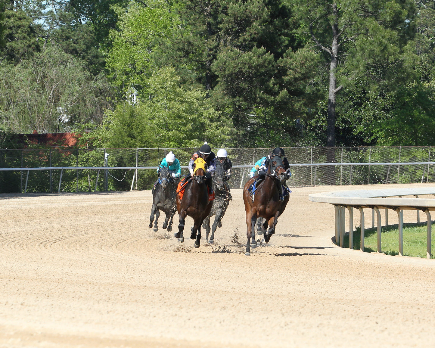 TAPIT STAR  - The Rainbow - 46th Running - 04-20-19 - R07 - OP - Turn 01