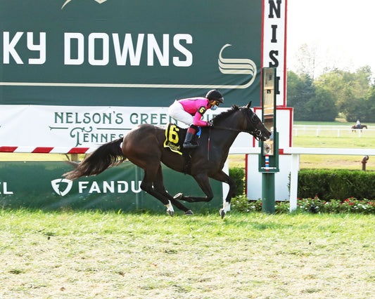 TOBYS HEART - Nelson's Green Brier Whiskey Music City Stakes - 2nd Running - 09-12-21 - R08 - KD - Finish 01