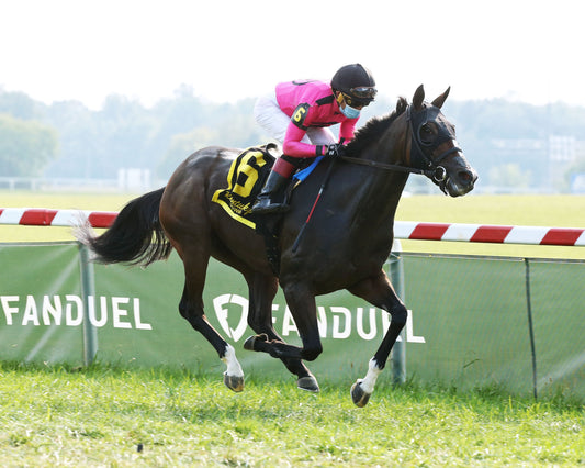 TOBYS HEART - Nelson's Green Brier Whiskey Music City Stakes - 2nd Running - 09-12-21 - R08 - KD - Finish 02