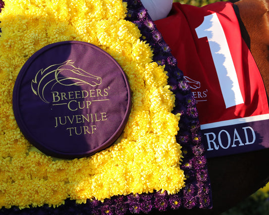 VICTORIA ROAD - Breeders' Cup Juvenile Turf G1 - 16th Running - 11-04-22 - R10 - KEE - Saddle Towel 01