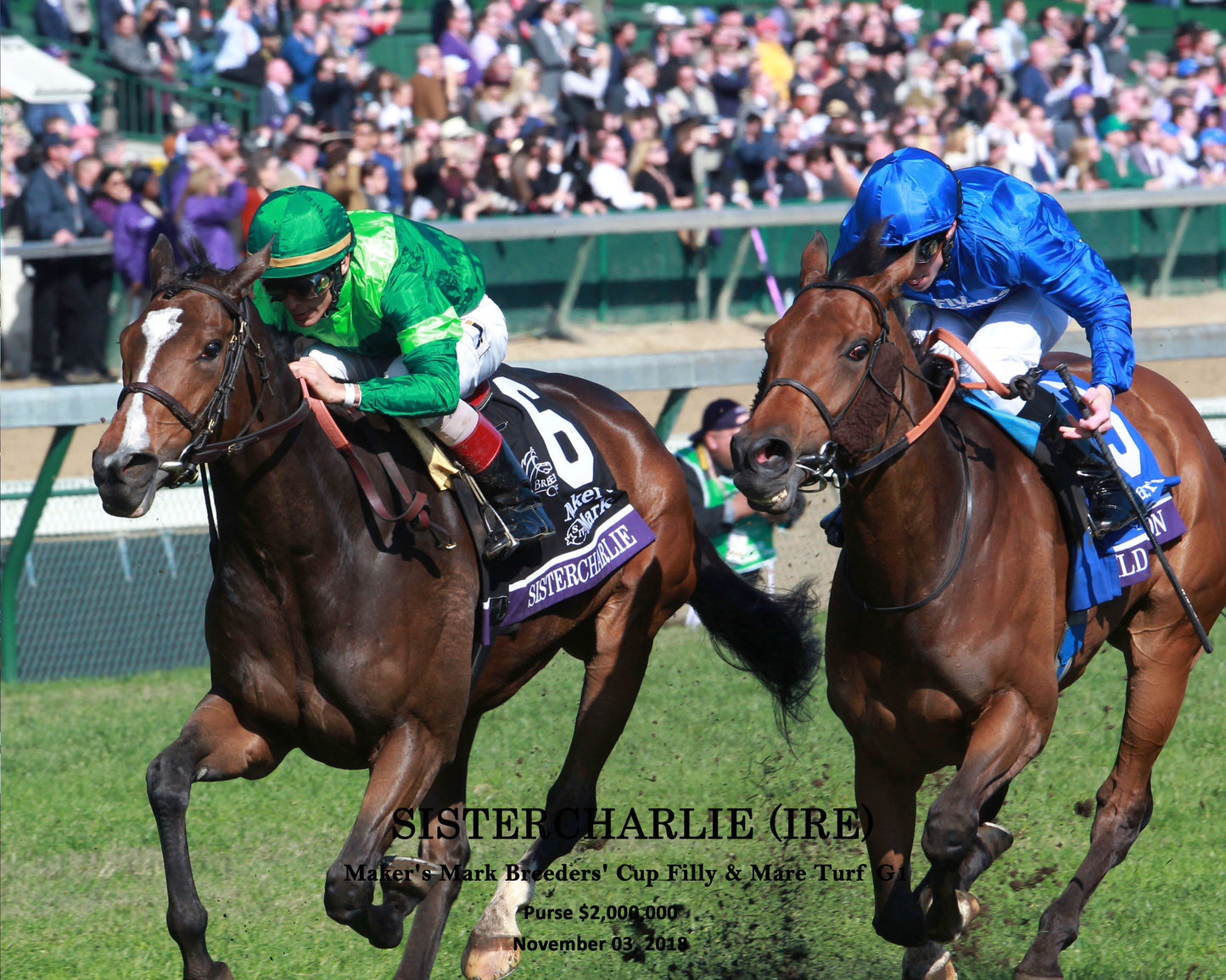 SISTERCHARLIE (IRE) - Maker's Mark Breeders' Cup Filly & Mare Turf G1 - 11-03-18 - R06 - CD - Inside Finish 01 W Ident