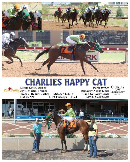 CHARLIES HAPPY CAT - 100217 - Race 04 - ZIA