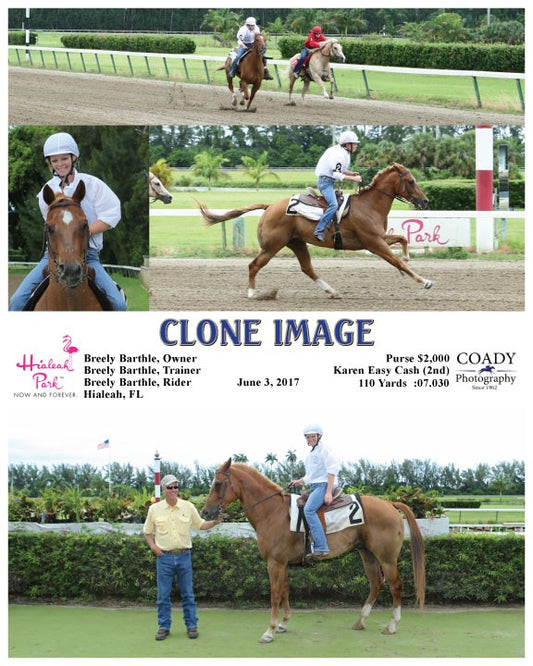 CLONE IMAGE - 060317 - Race 06 - HIA