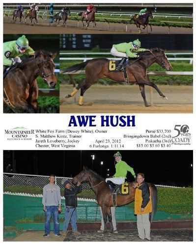 AWE HUSH - 042312 - Race 09