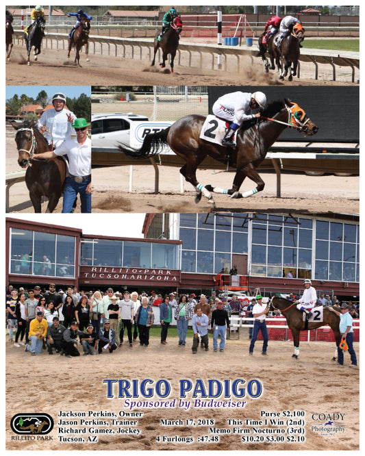 TRIGO PADIGO - 031718 - Race 02 - RIL